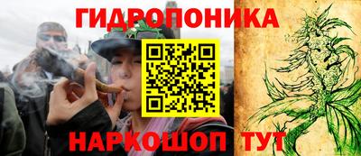 спиды Берёзовский