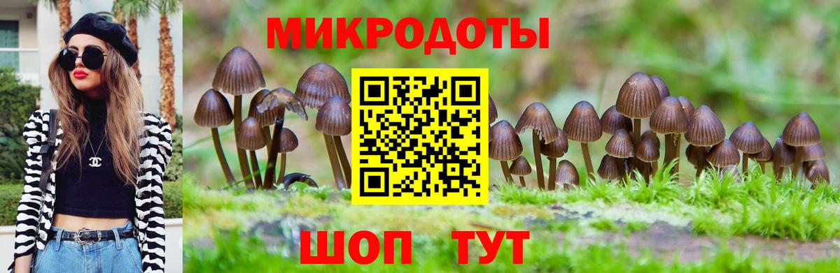 Псилоцибиновые грибы GOLDEN TEACHER Белово