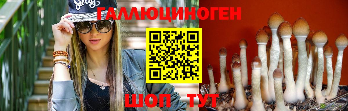 Белово  Псилоцибиновые грибы Psilocybine cubensis  закладки  Псилоцибиновые грибы мухоморы  Вход с VPN 